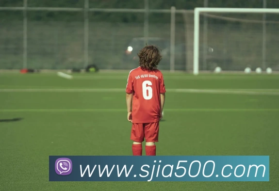 500彩票服务体系